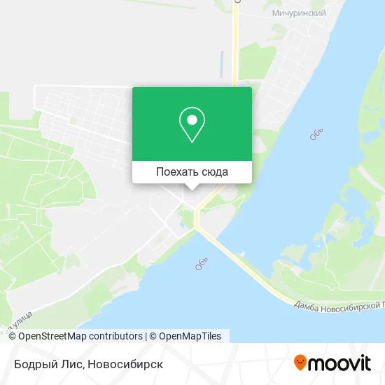 Карта Бодрый Лис