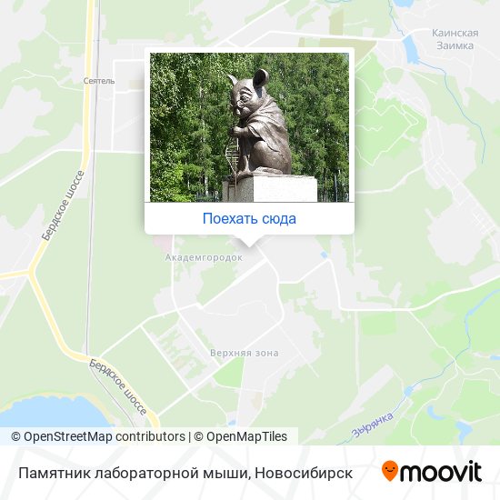 Карта Памятник лабораторной мыши