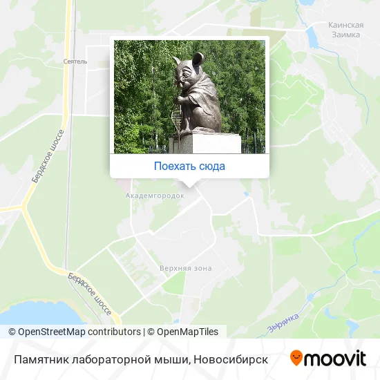 Карта Памятник лабораторной мыши