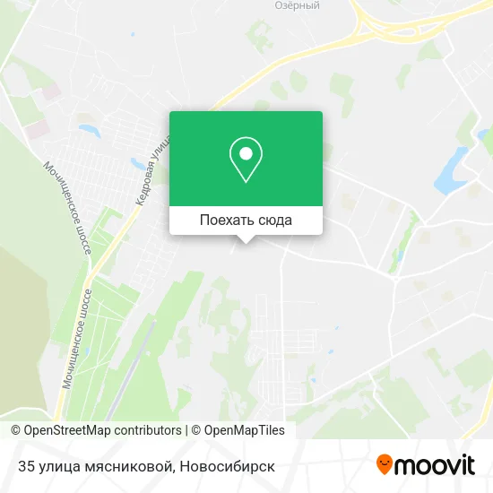 Карта 35 улица мясниковой
