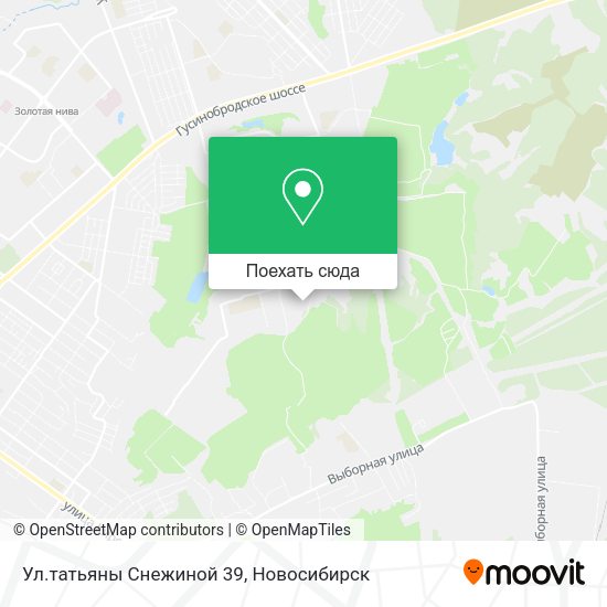 Карта Ул.татьяны Снежиной 39