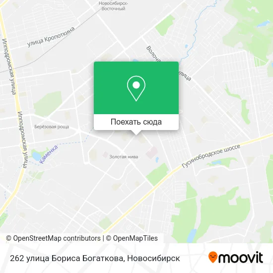 Карта 262 улица Бориса Богаткова