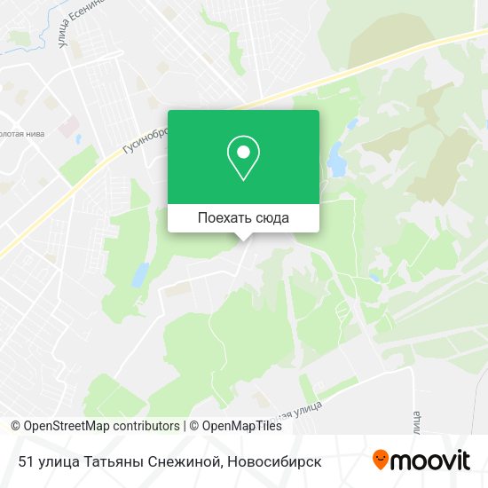 Карта 51 улица Татьяны Снежиной