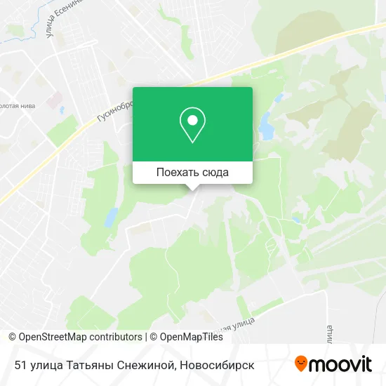 Карта 51 улица Татьяны Снежиной
