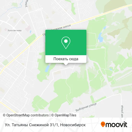 Карта Ул. Татьяны Снежиной 31/1