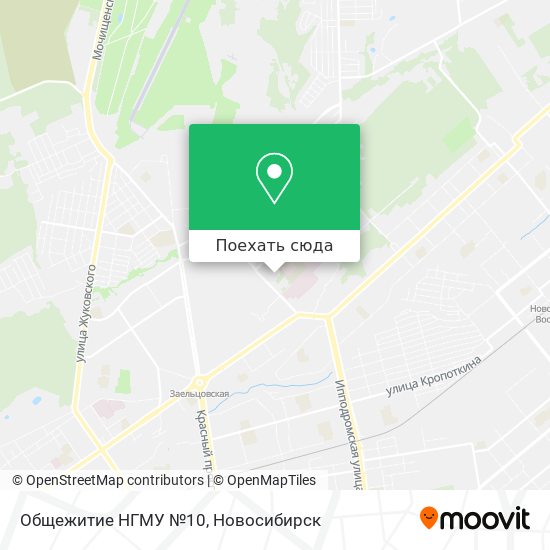 Карта Общежитие НГМУ №10