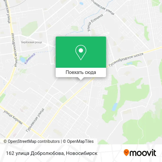 Карта 162 улица Добролюбова
