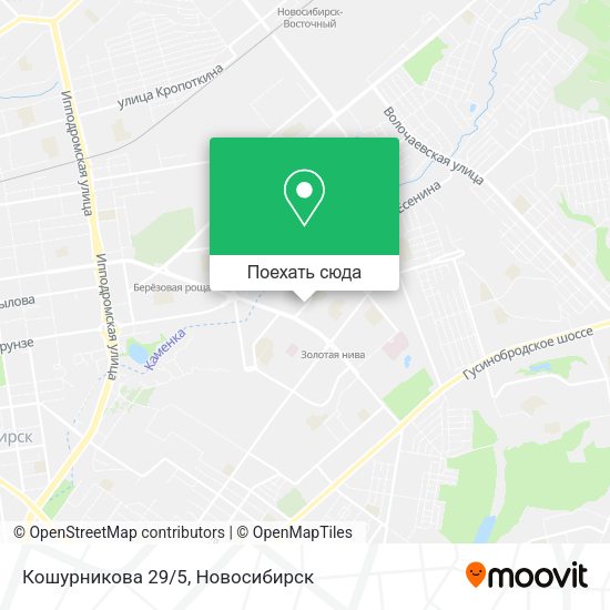 Карта Кошурникова 29/5