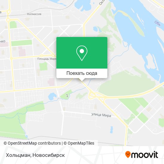 Карта Хольцман