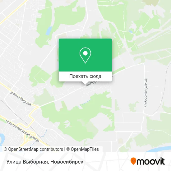 Карта Улица Выборная