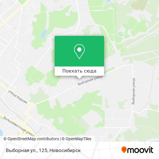 Карта Выборная ул., 125