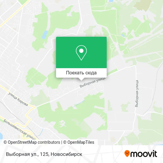 Карта Выборная ул., 125