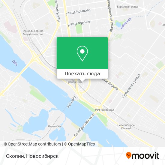 Карта Скопин