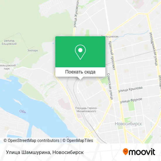 Карта Улица Шамшурина