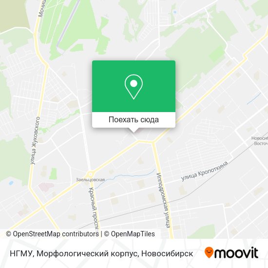 Карта НГМУ, Морфологический корпус