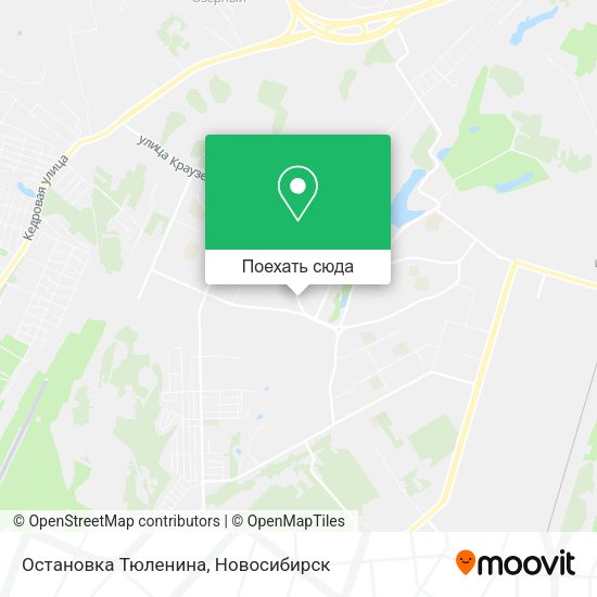 Карта Остановка Тюленина