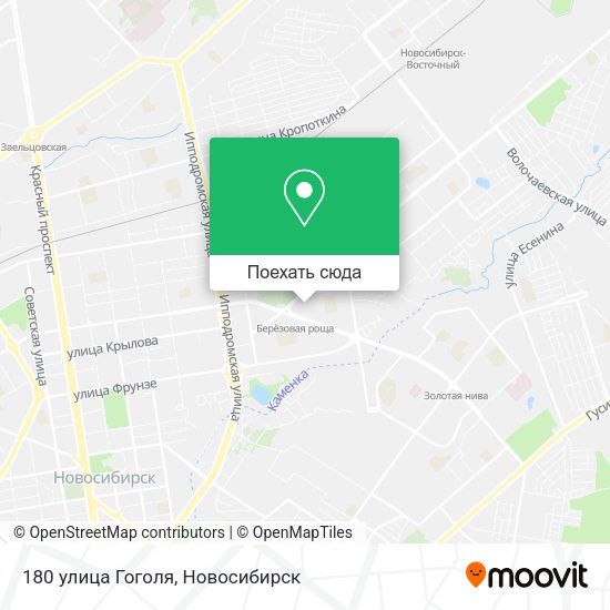 Карта 180 улица Гоголя