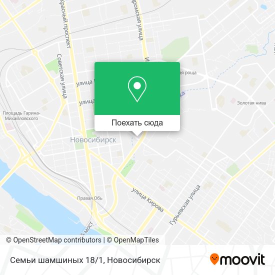 Карта Семьи шамшиных 18/1