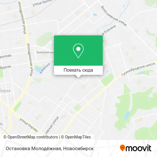 Карта Остановка Молодёжная