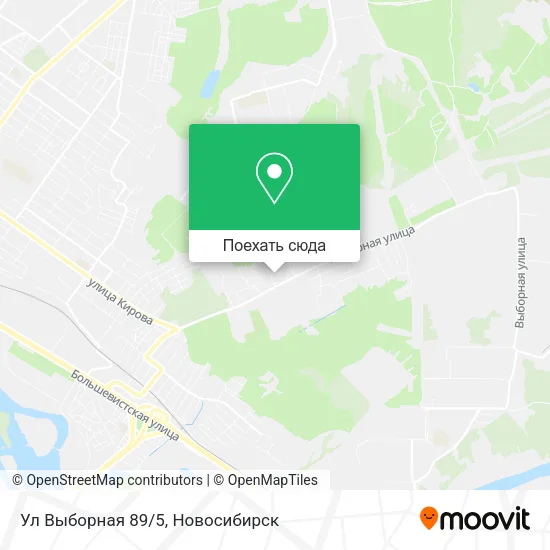 Карта Ул Выборная 89/5