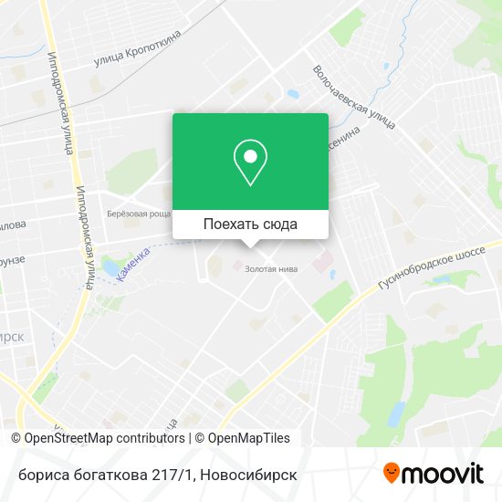 Карта бориса богаткова 217/1