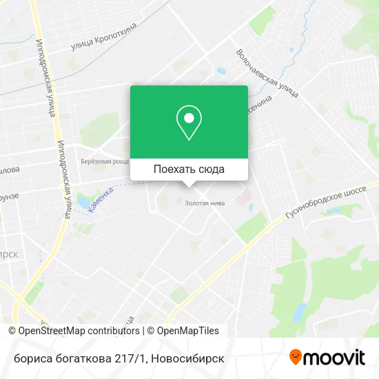 Карта бориса богаткова 217/1
