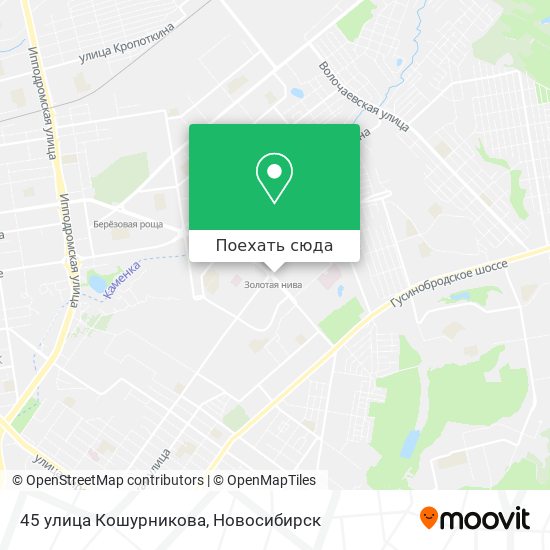 Карта 45 улица Кошурникова