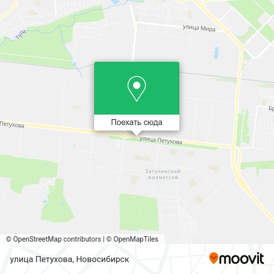 Карта улица Петухова