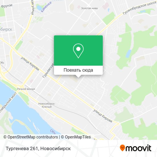 Карта Тургенева 261
