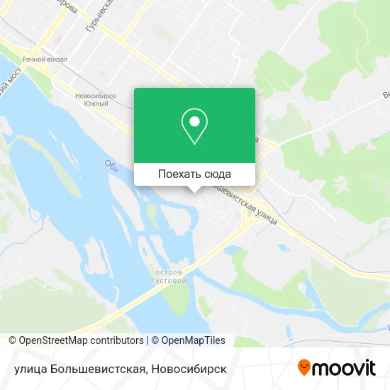 Карта улица Большевистская