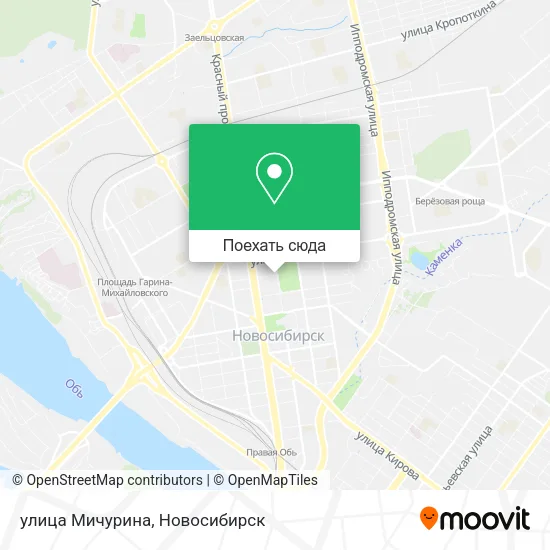 Карта улица Мичурина