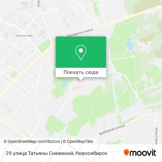 Карта 29 улица Татьяны Снежиной