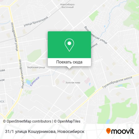 Карта 31/1 улица Кошурникова