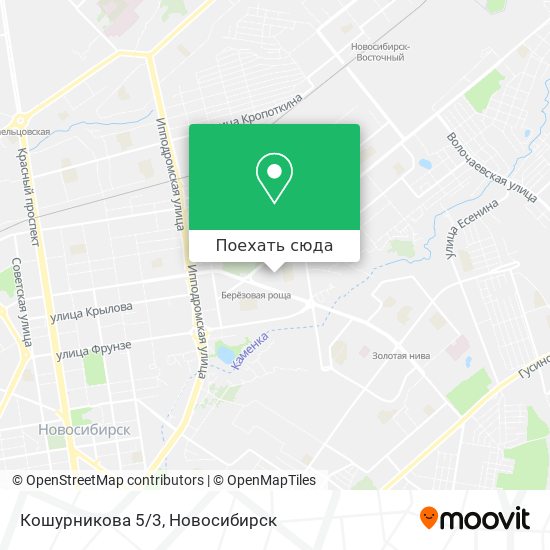 Карта Кошурникова 5/3