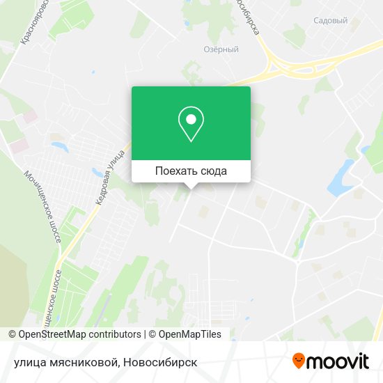 Карта улица мясниковой