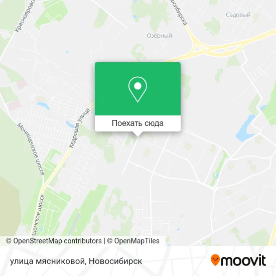 Карта улица мясниковой
