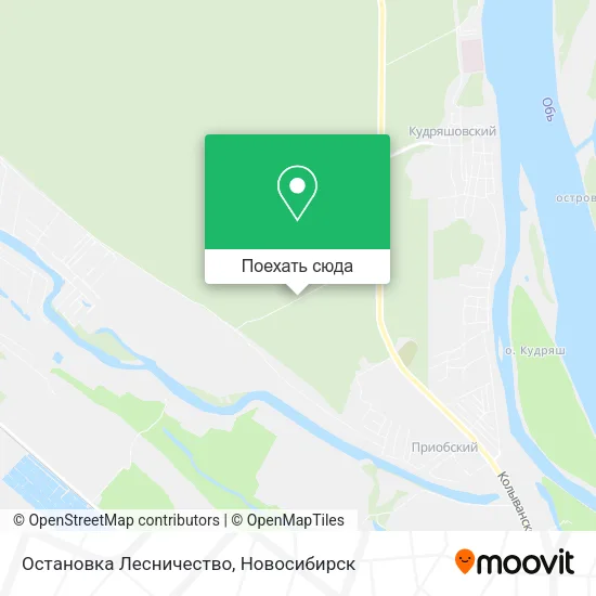 Карта Остановка Лесничество