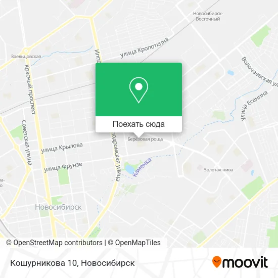 Карта Кошурникова 10