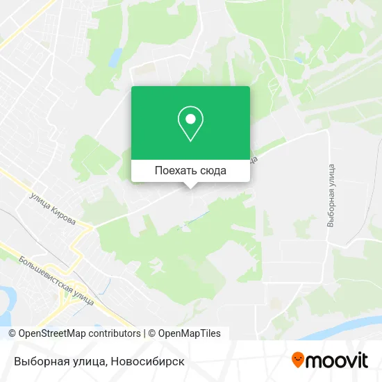 Карта Выборная улица