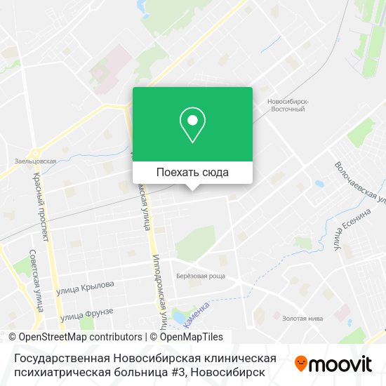 Карта Государственная Новосибирская клиническая психиатрическая больница #3