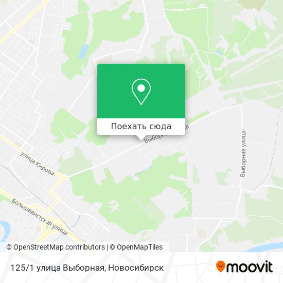 Карта 125/1 улица Выборная