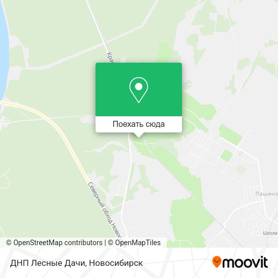 Карта ДНП Лесные Дачи