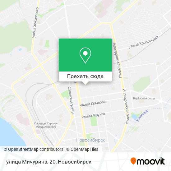Карта улица Мичурина, 20