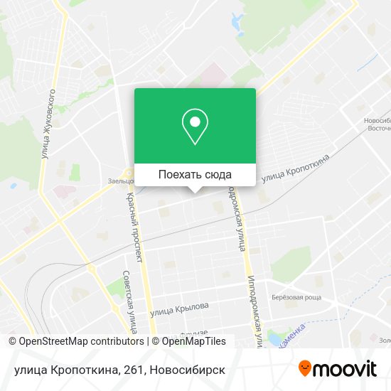 Карта улица Кропоткина, 261
