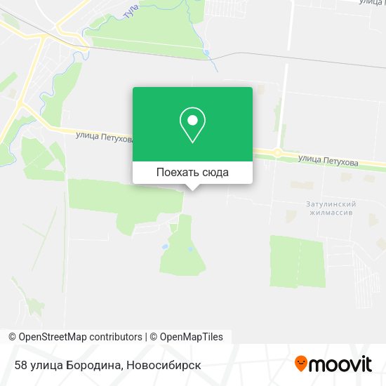 Карта 58 улица Бородина