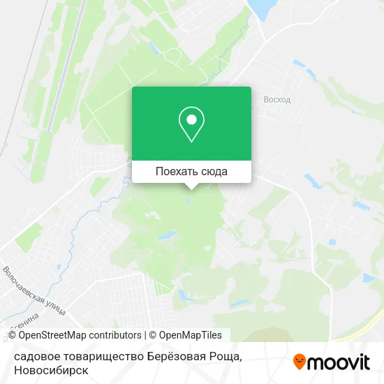 Карта садовое товарищество Берёзовая Роща