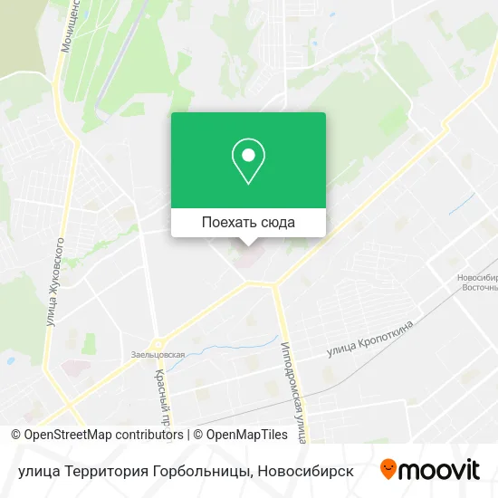 Карта улица Территория Горбольницы