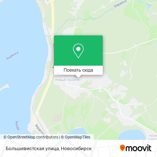 Карта Большевистская улица
