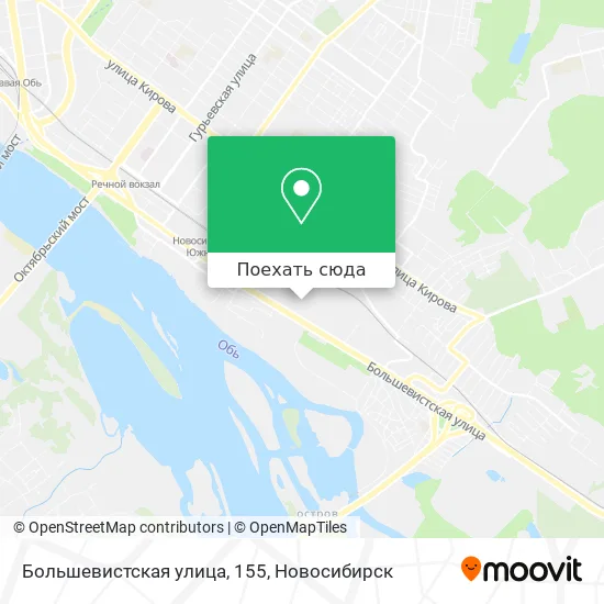 Карта Большевистская улица, 155