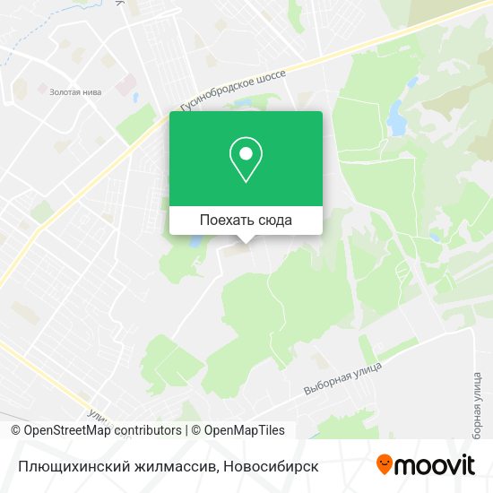 Карта Плющихинский жилмассив